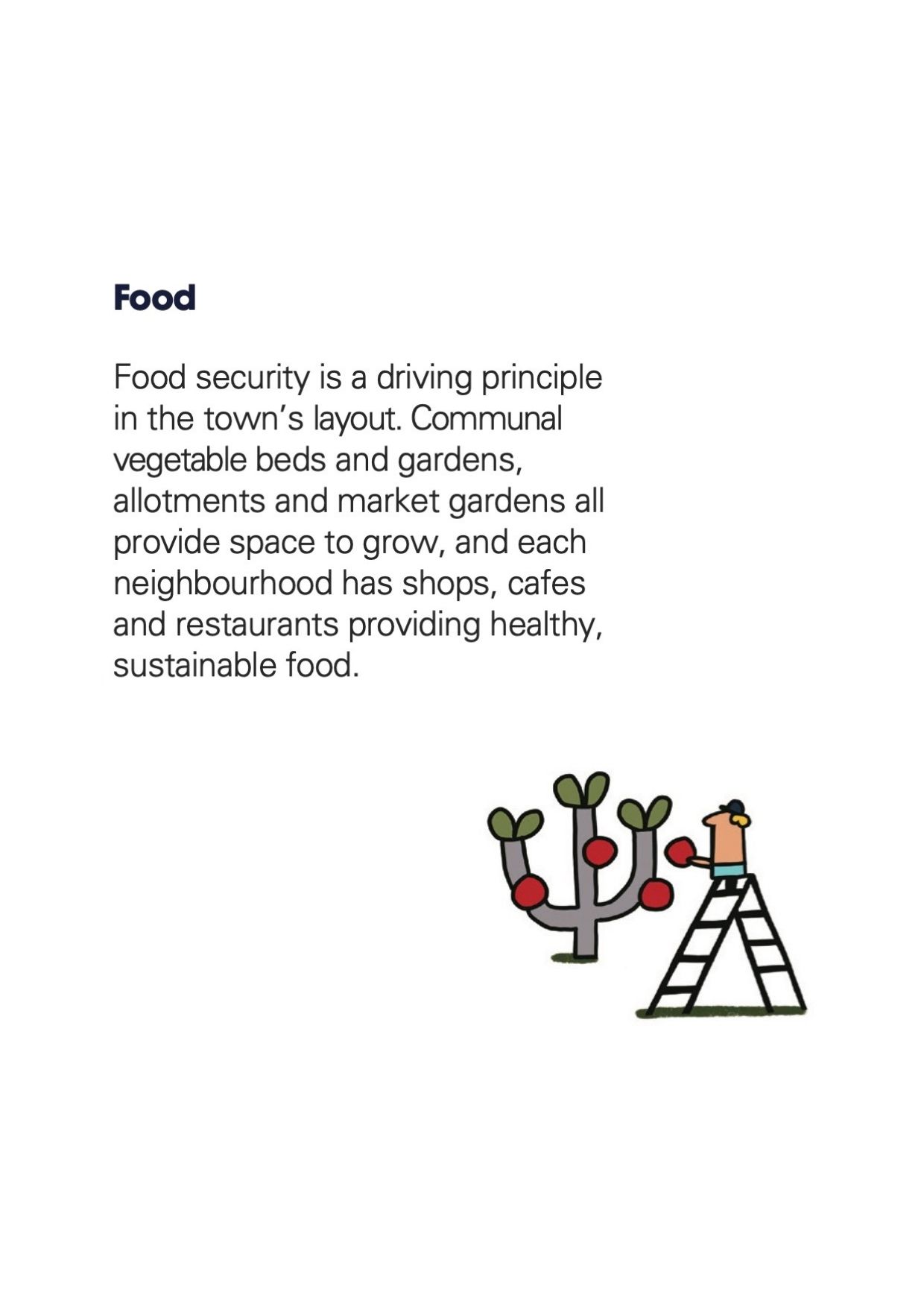 Food - Section 5