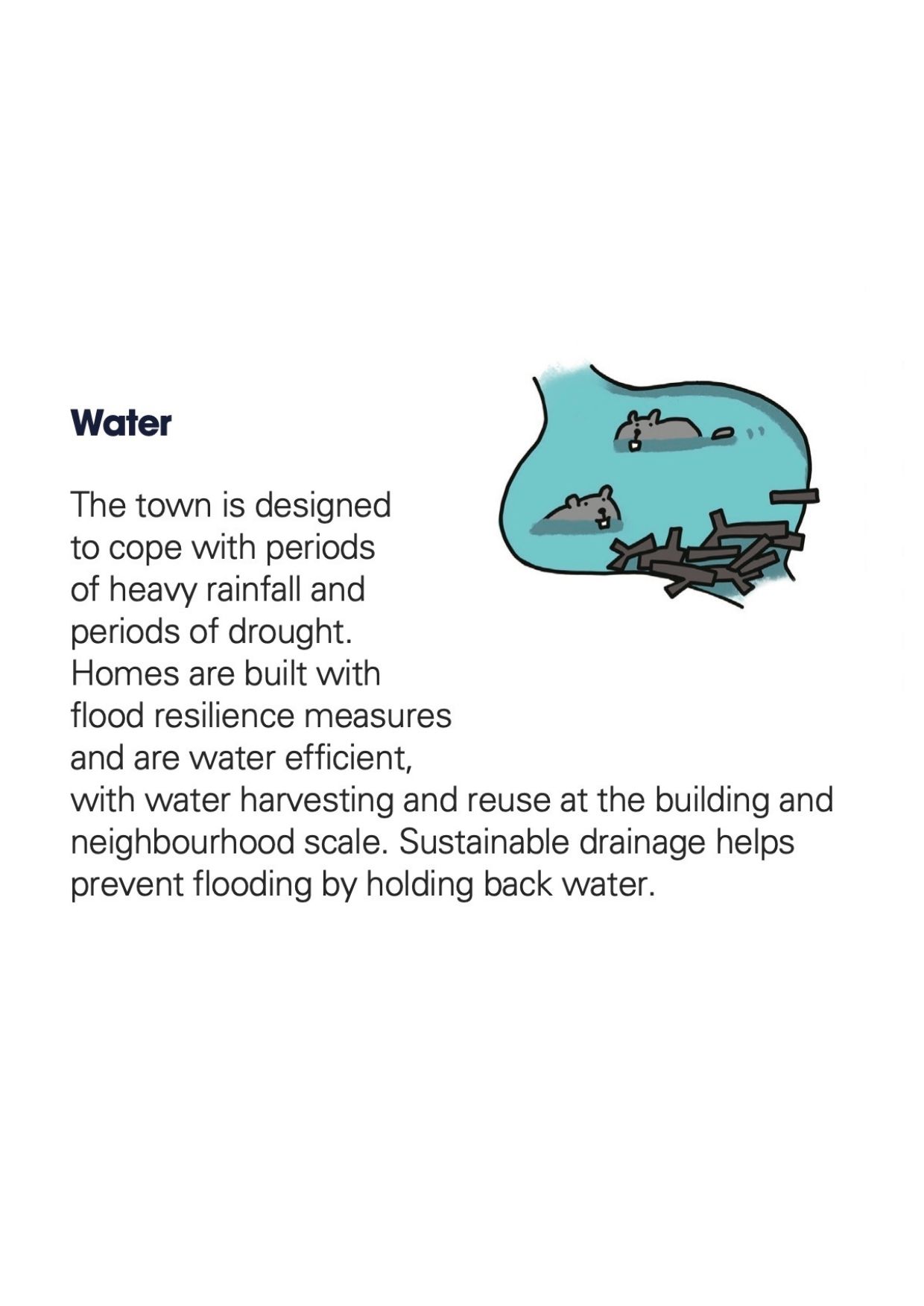 Water - Section 7