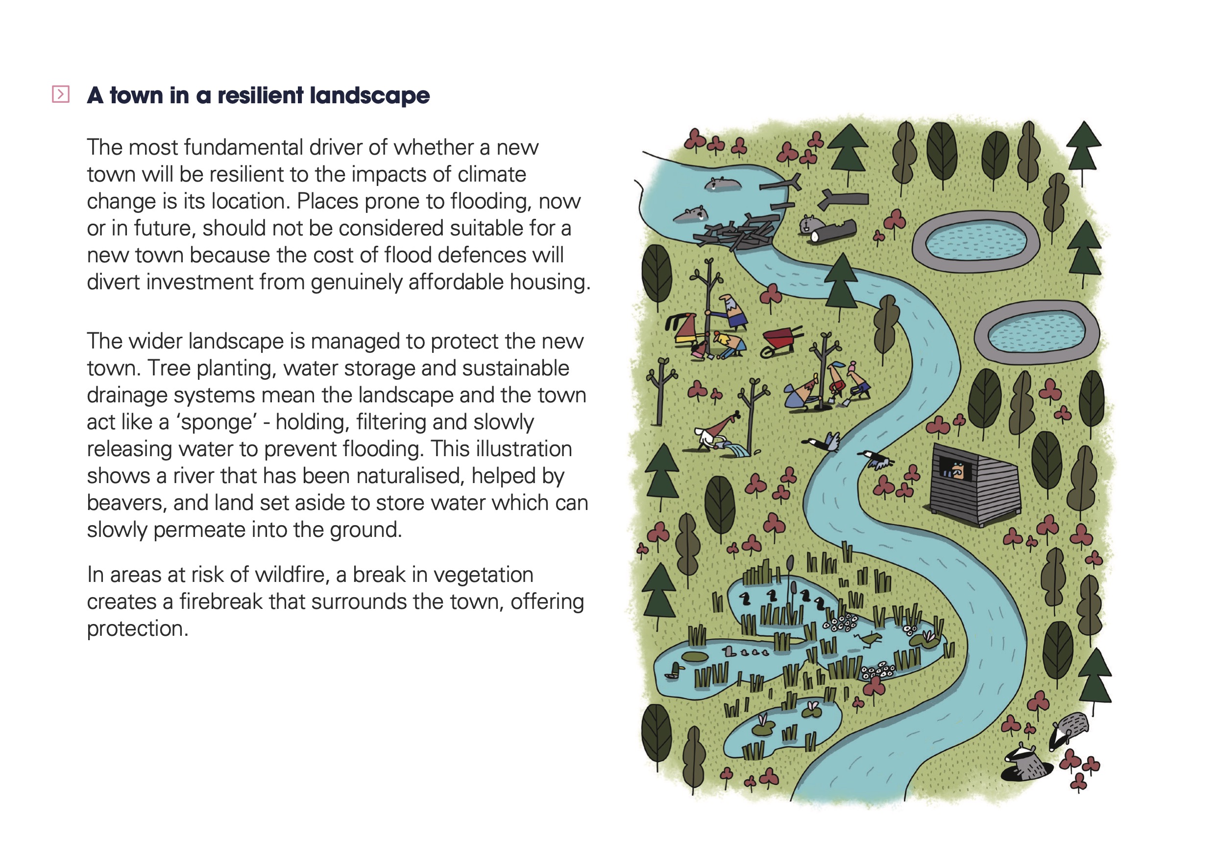 A town in a climate resilient landscape - Section 15